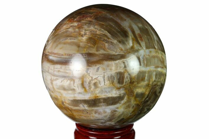 Colorful Petrified Wood Sphere - Madagascar #163369
